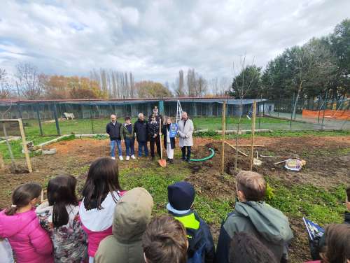 Piccoli alberi e verde fra i box del canile: lezione di buone pratiche a quattrozampe per gli alunni della scuola di Lerchi, messe a dimora tre piante nel canile comprensoriale di Mezzavia