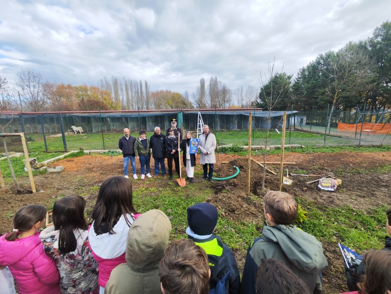 Piccoli alberi e verde fra i box del canile: lezione di buone pratiche a quattrozampe per gli alunni della scuola di Lerchi, messe a dimora tre piante nel canile comprensoriale di Mezzavia