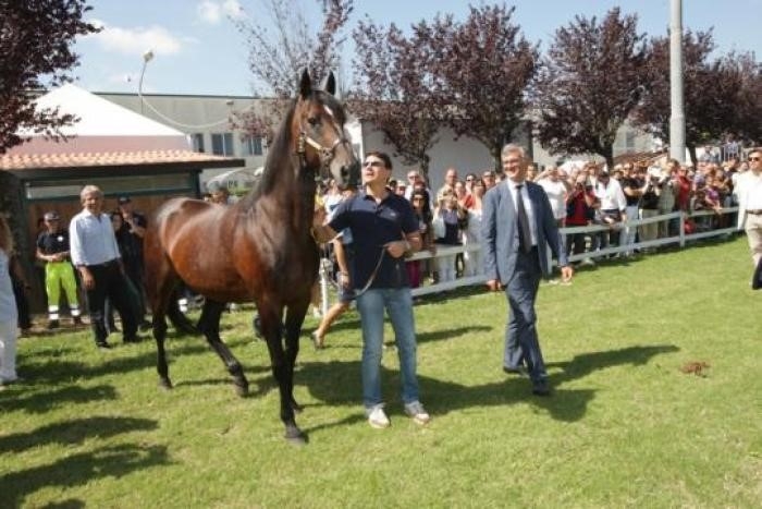 La passerella indimenticabile�di Varenne, ospite d\'onore della 45� Mostra Nazionale del Cavallo il 10 settembre 2011