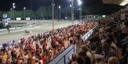 ippodromo cesena