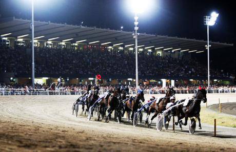 ippodromo cesena