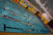 24 nuoto 