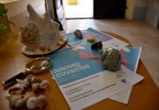 Mostra Malakos