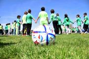 Gioco Calciando