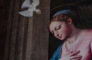 aNNUNCIAZIONE sELLARI