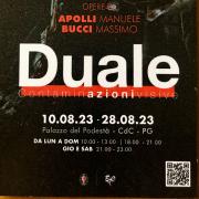 Duale web